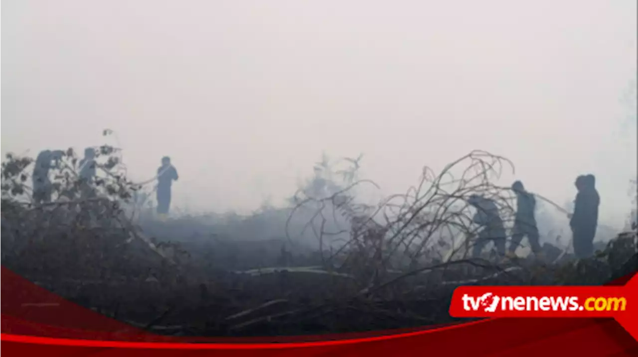 BPBD Riau Semai 20 Ton Garam Hujan Buatan Atasi Karhutla