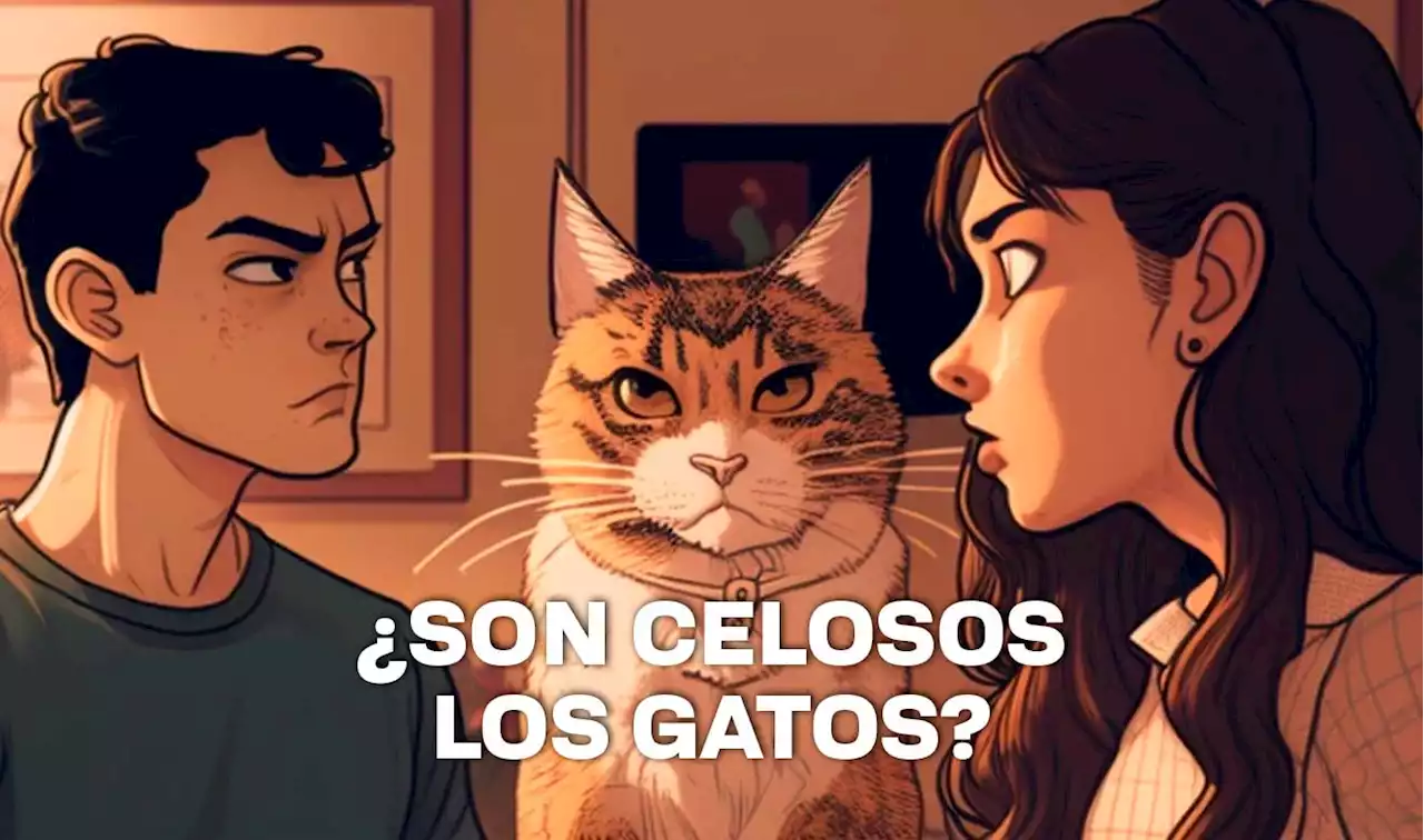 ¿Los gatos pueden sentir celos? - UNAM Global