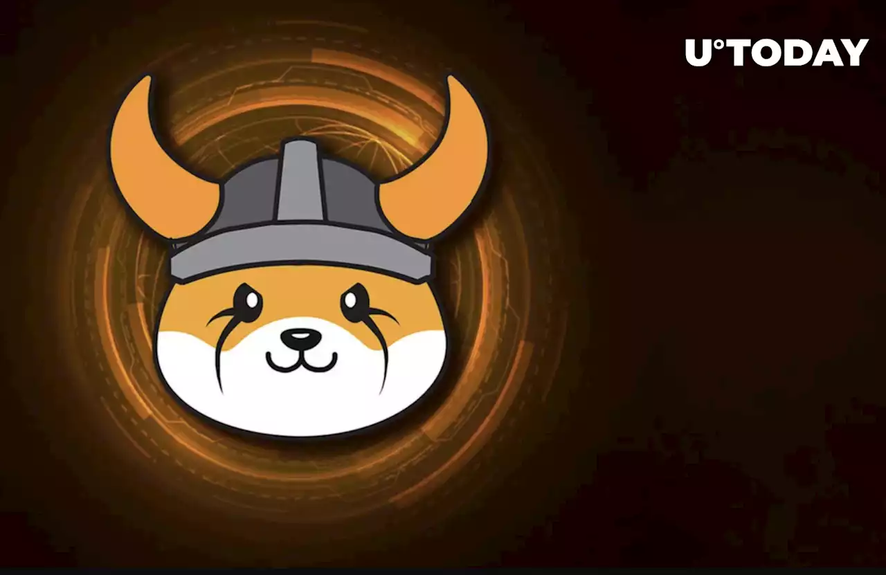 Floki Inu Joins Dogecoin and Shiba Inu on Binance.US