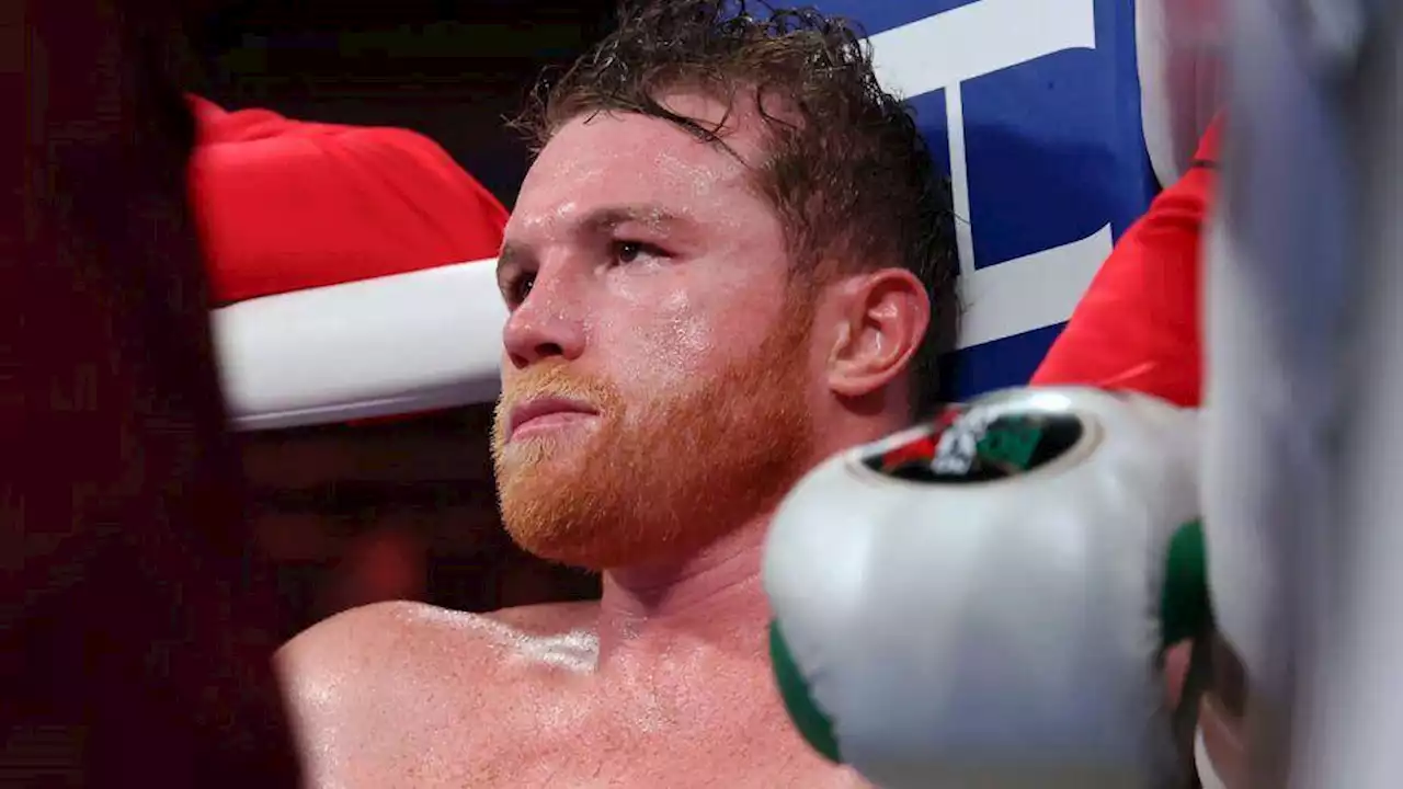 “Se lo roban todo”, ‘Canelo’ Álvarez ‘golpea’ al gobierno por falta de apoyo al deporte