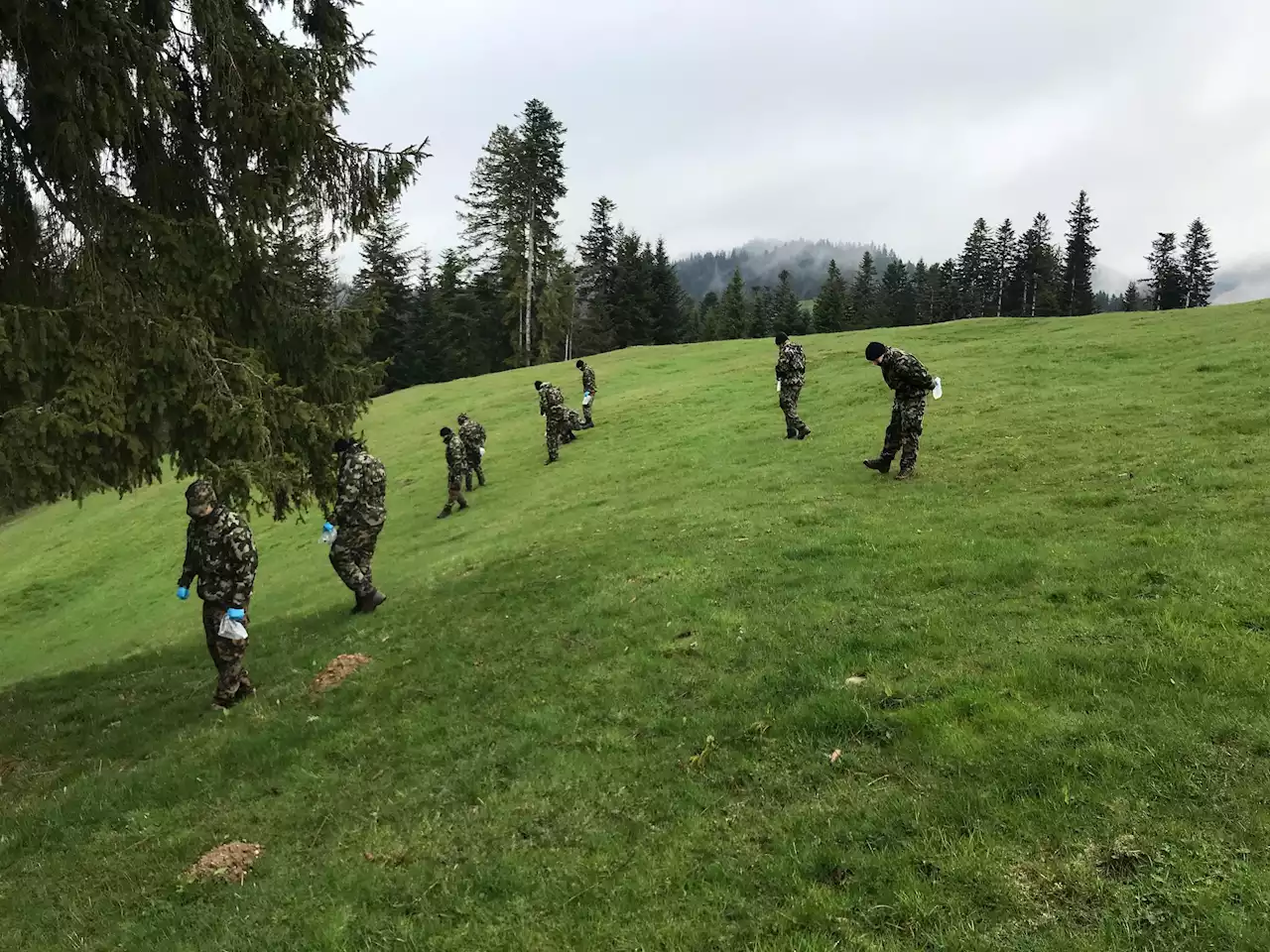 Napfgebiet: Nach Heli-Übung der Armee räumen Soldaten Weide auf