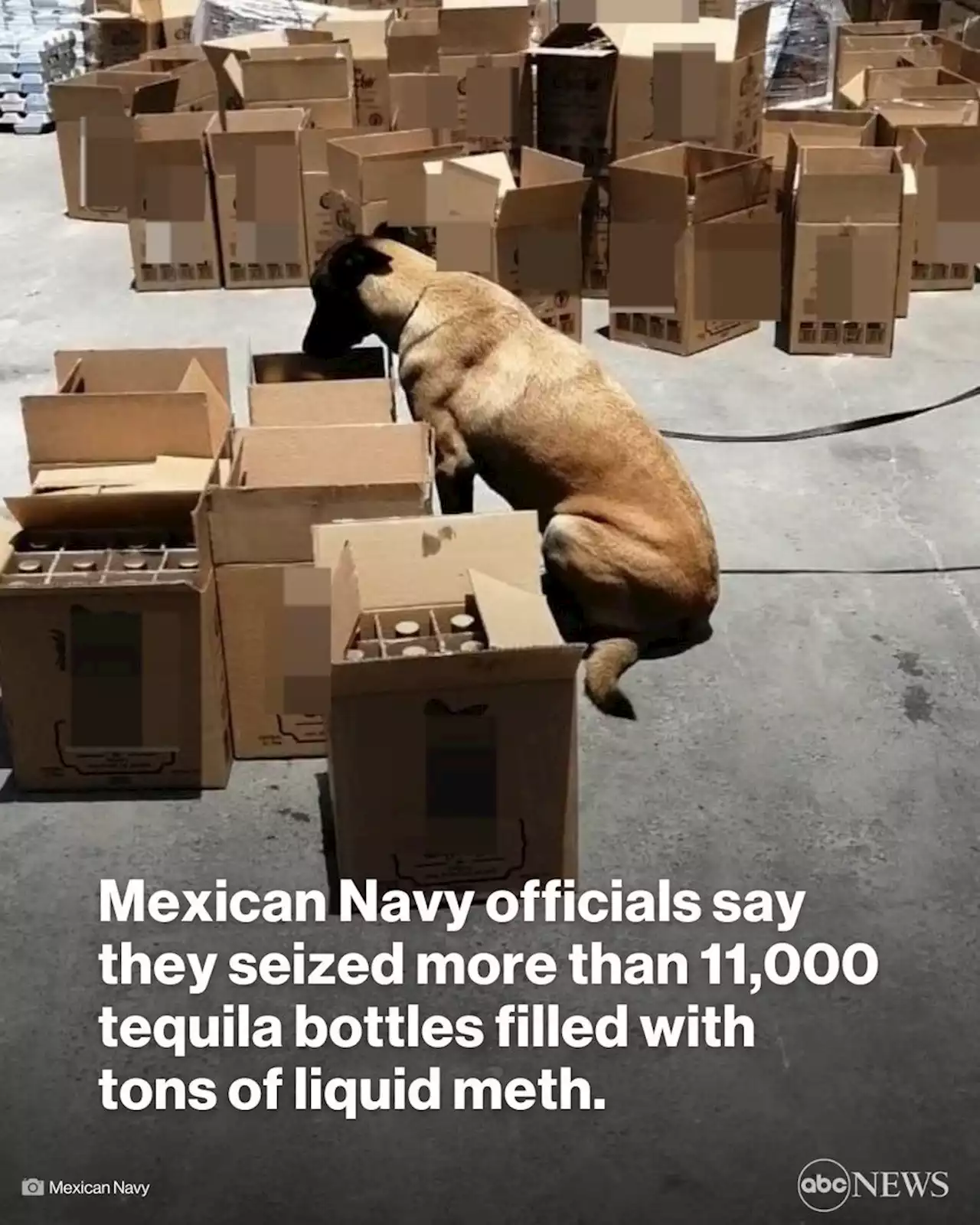 Mexico finds 11,520 tequila bottles with liquid meth at port