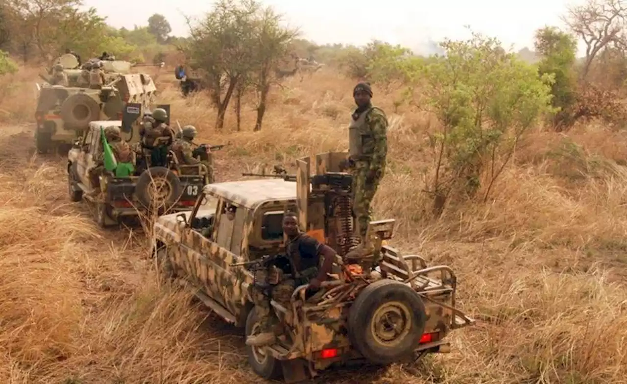 Nigeria: Two More Chibok Schoolgirls Rescued From Sambisa Forest