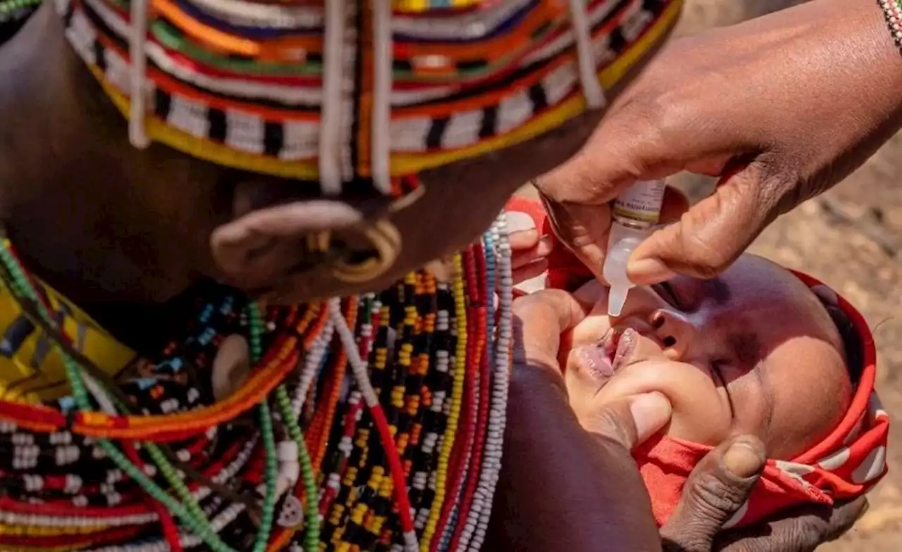 Africa: World Immunization Week Sees 'Big Catch-Up' to Get Vaccines Back On Track