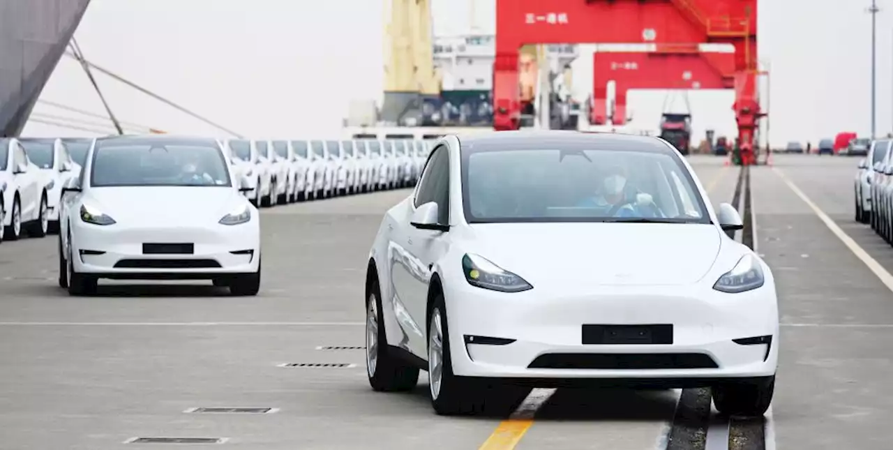 Tesla Exports Cheapest Model Y Yet from China to Canada