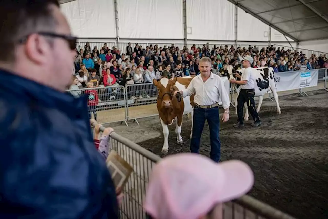 Bauern bauen an der Zentralschweizer Frühjahresmesse Brücken - bauernzeitung.ch