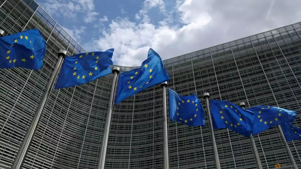 Google, Amazon, Meta, Microsoft, 15 others subject to EU content rules