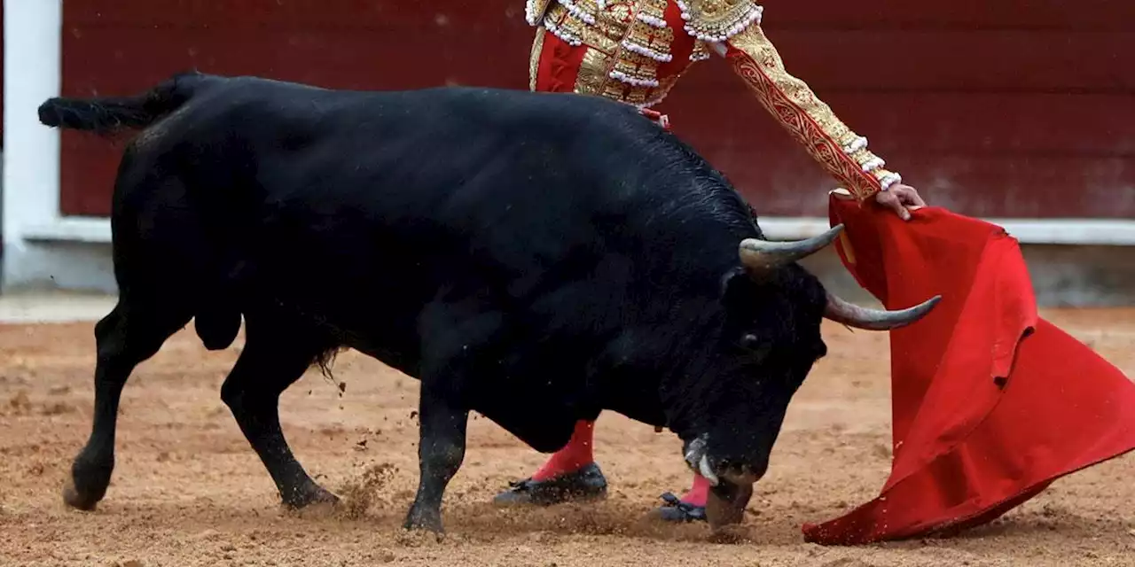 Congreso hundió proyecto que buscaba prohibir las corridas de toros