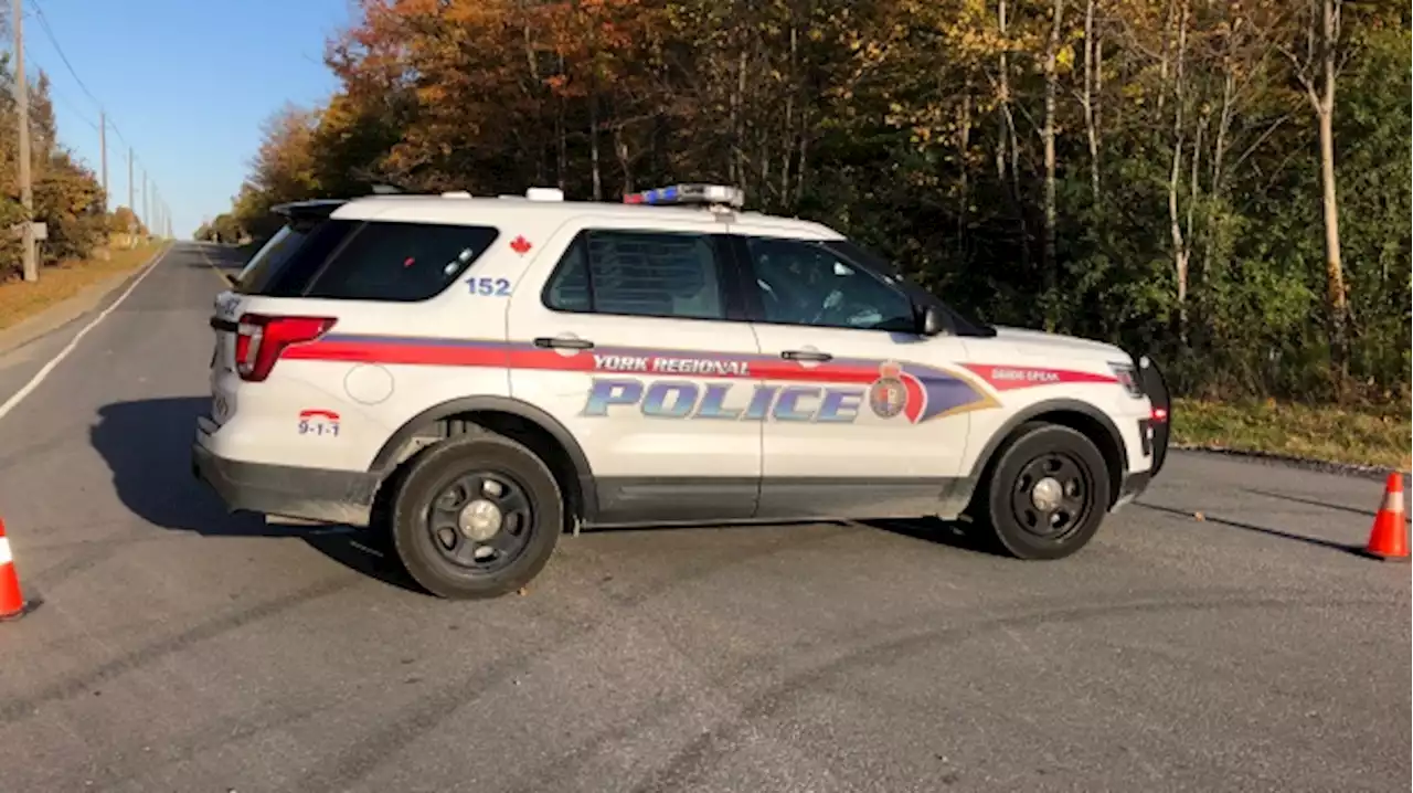 Dead man found by dog walker north of Toronto identified, deemed homicide victim