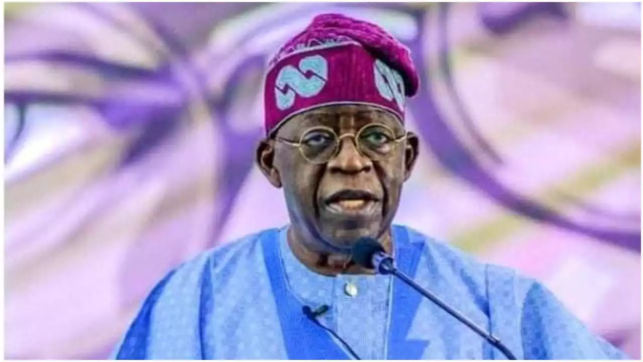 You were elected to bring Nigeria out of woes - Diaspora Nigerians tell Tinubu