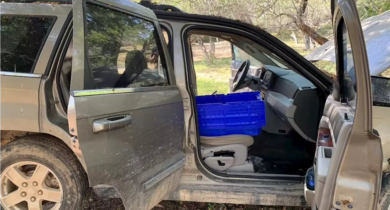 Hallan encajuelados cuerpos de 4 jóvenes con uniforme camuflado en la carretera México-Nogales