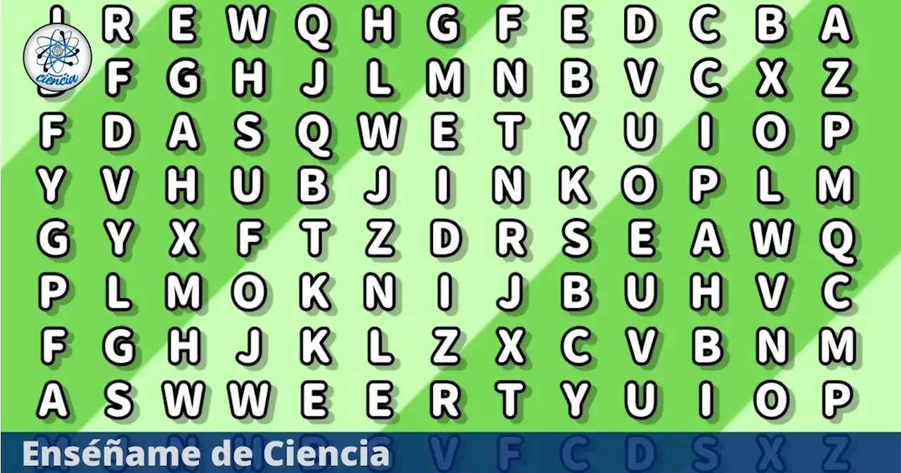 ¿Serás capaz de superar el acertijo nivel principiante? Localiza la palabra “ADN” en la sopa de letras