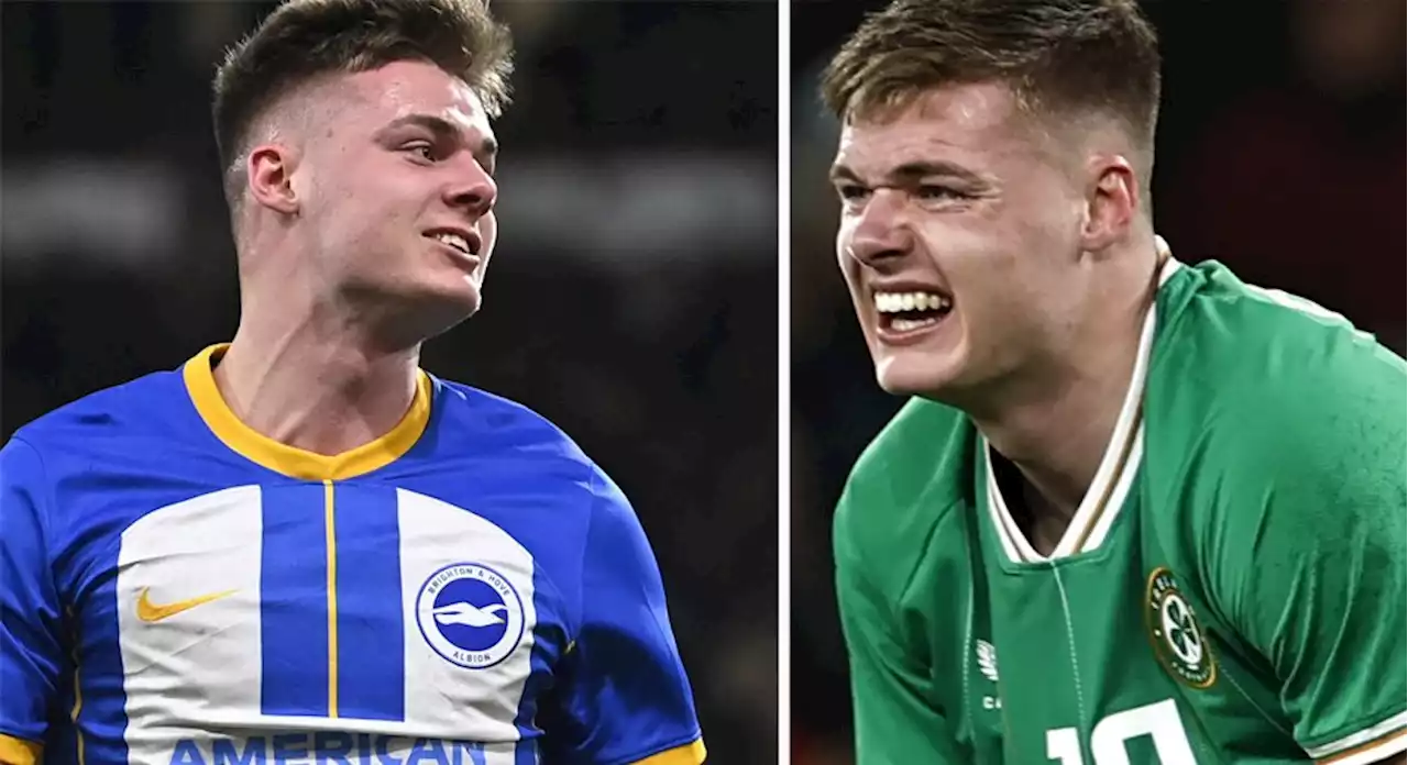 Klart: Brighton förlänger med Evan Ferguson: ”Fantastiska nyheter”