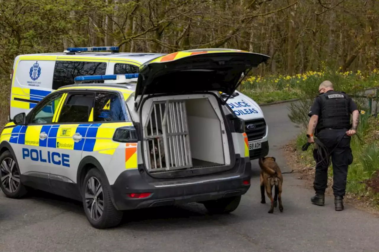 Dog unit pictured at popular park as cops provide update in 'ongoing investigation'