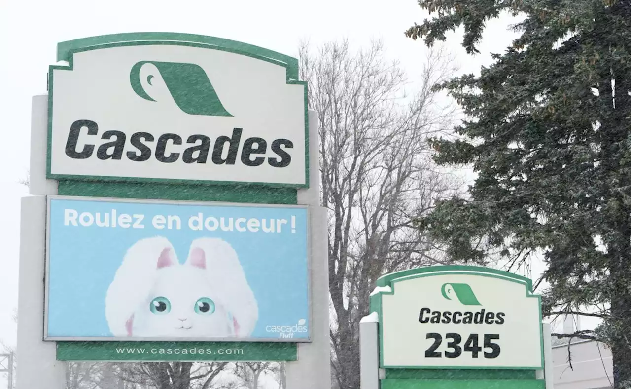 300 employees affected as Cascades to restructure its tissue business in U.S.