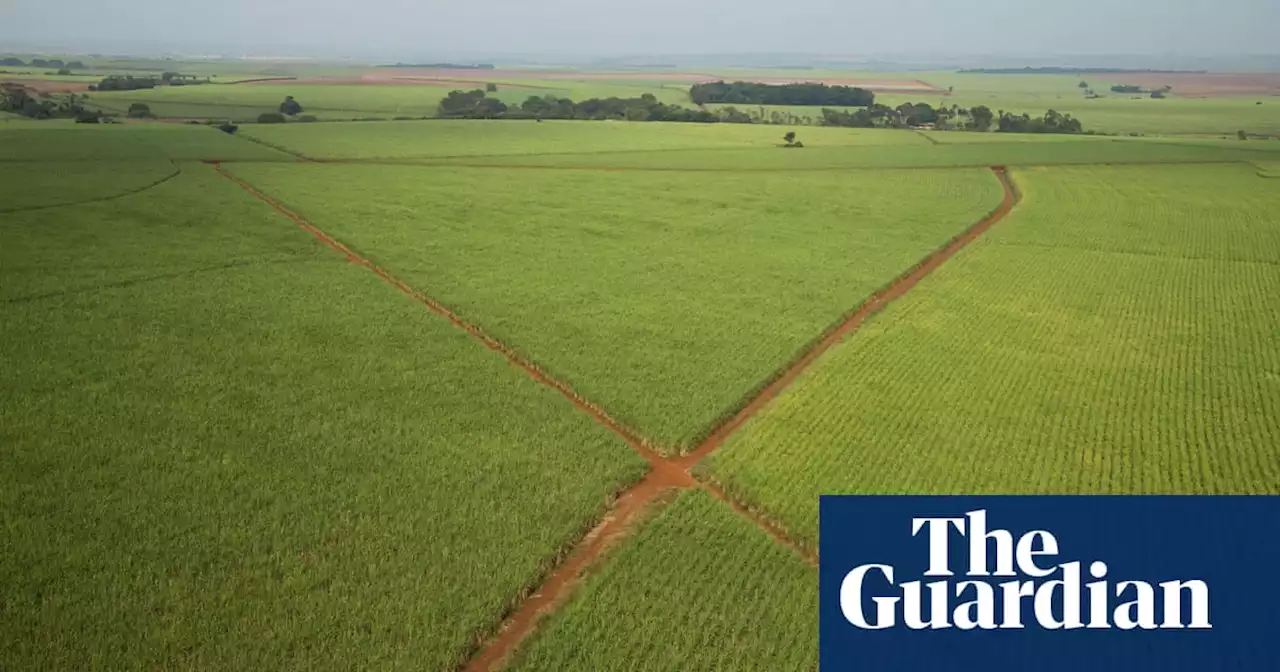 EU firms accused of ‘abhorrent’ export of banned pesticides to Brazil