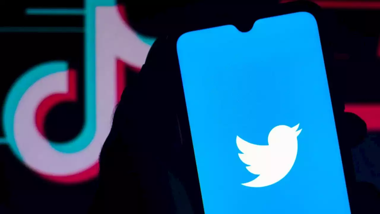 Scatta la sorveglianza Ue per le Big Tech. Twitter, TikTok e soci 'dovranno cambiare per operare in Europa'