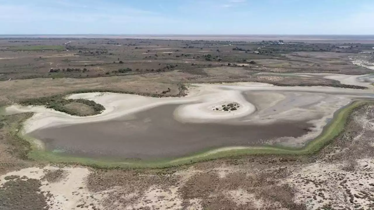 El 'desastre ecológico' en Doñana: la alerta de Seo BirdLife para salvar el parque Nacional