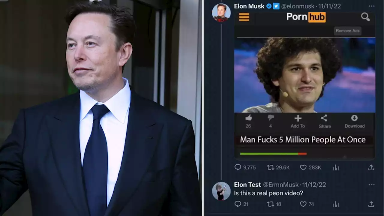 Elon Musk's Alleged Burner Account Role-Played As a Horny Toddler