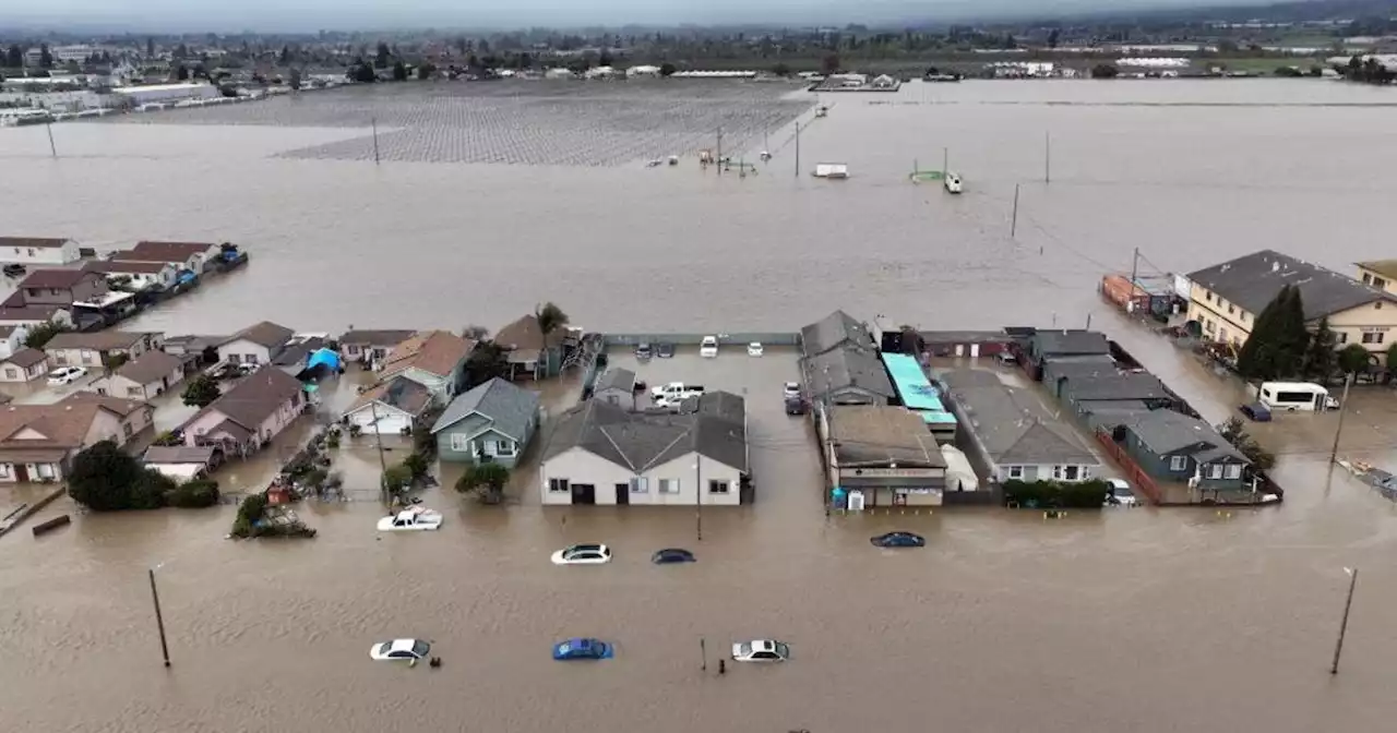 Pajaro reaches milestone in clean-up from destructive levee breach