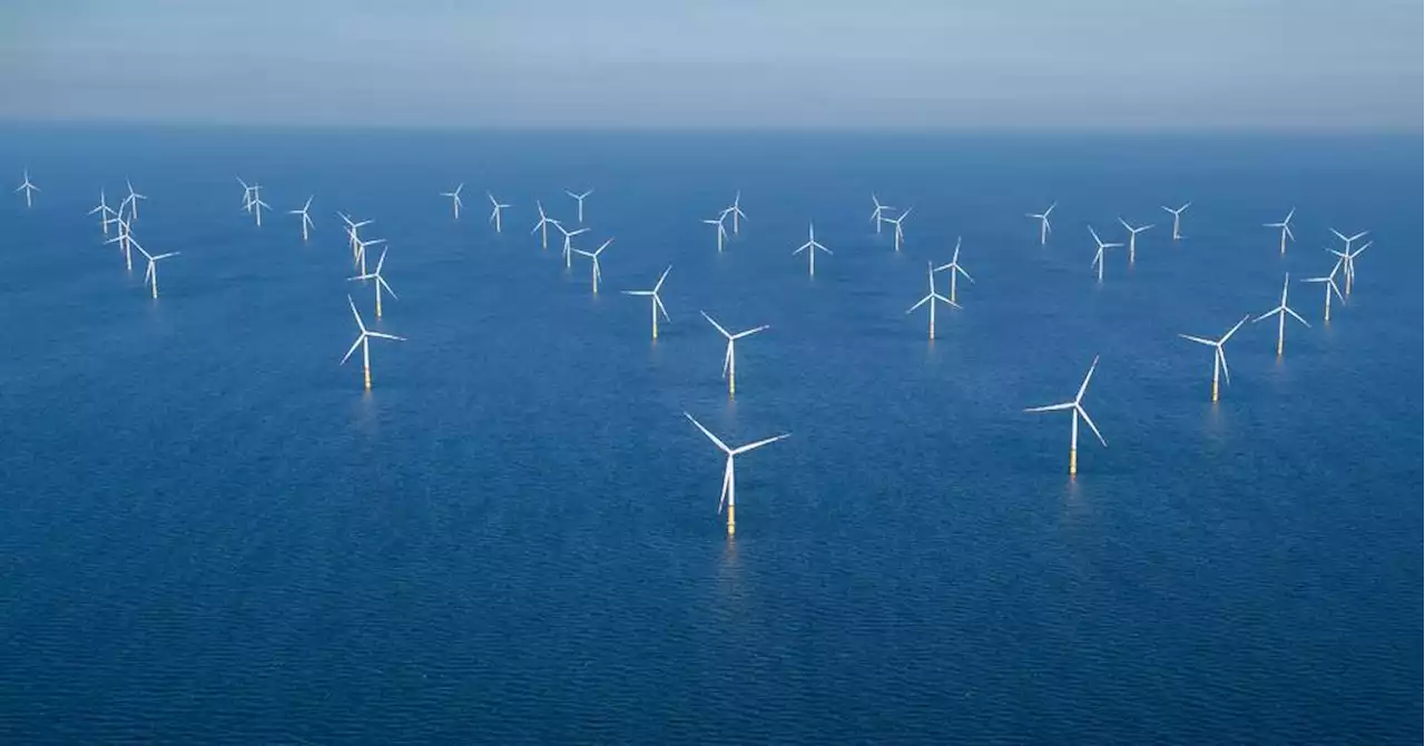 Neuf pays européens en sommet à Ostende pour décupler l'éolien en mer du Nord