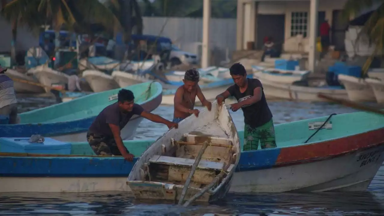 Buscan a padre e hijo, pescadores, en la bahía de Acapulco; llevan 3 días desaparecidos