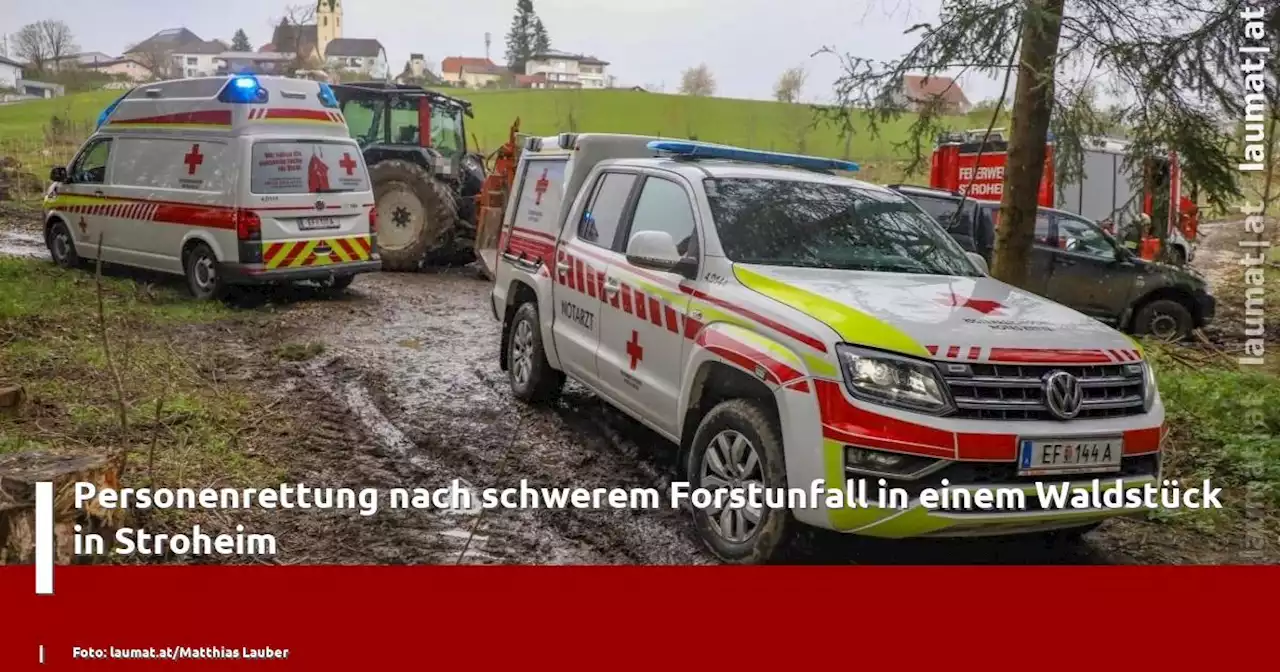 Personenrettung nach schwerem Forstunfall in einem Waldstück in Stroheim | laumat|at