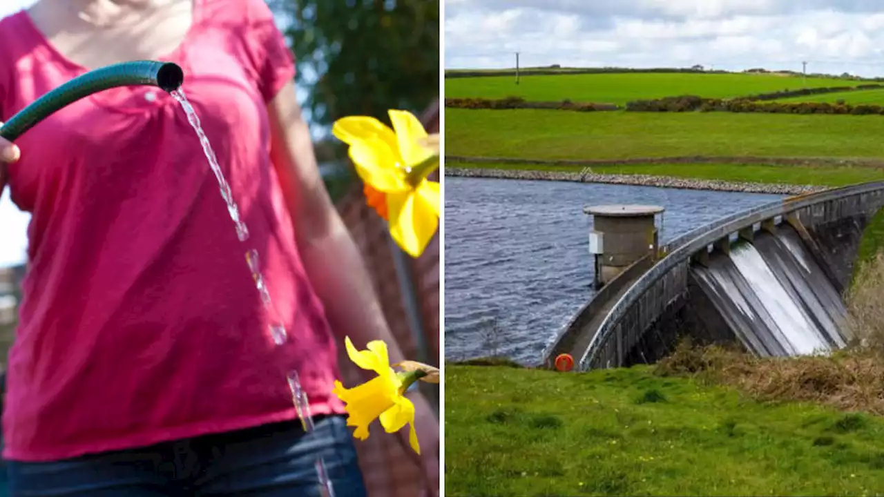 Devon and Cornwall hosepipe ban grows to 390,000 households and won't be lifted until December