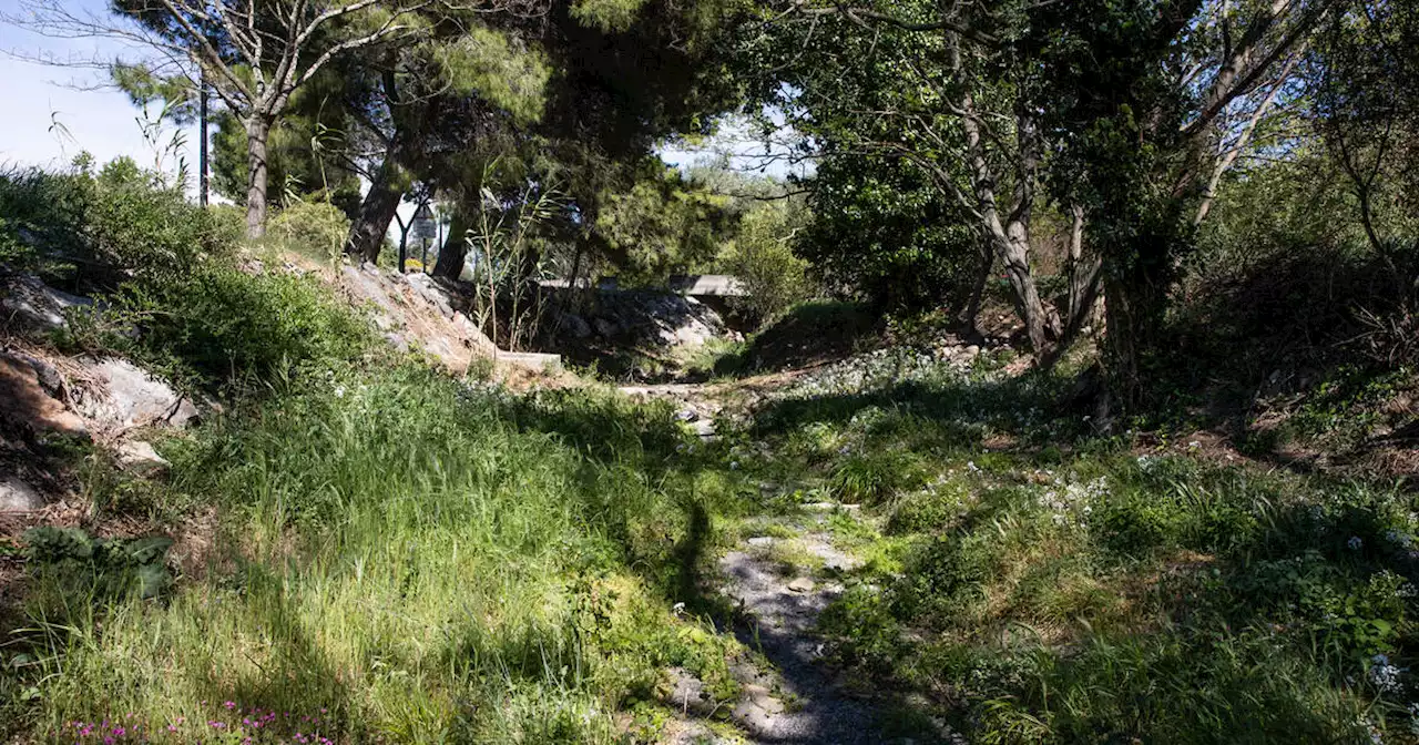 Sécheresse : la présidente des Pyrénées-Orientales alerte face au risque de «catastrophe humaine»