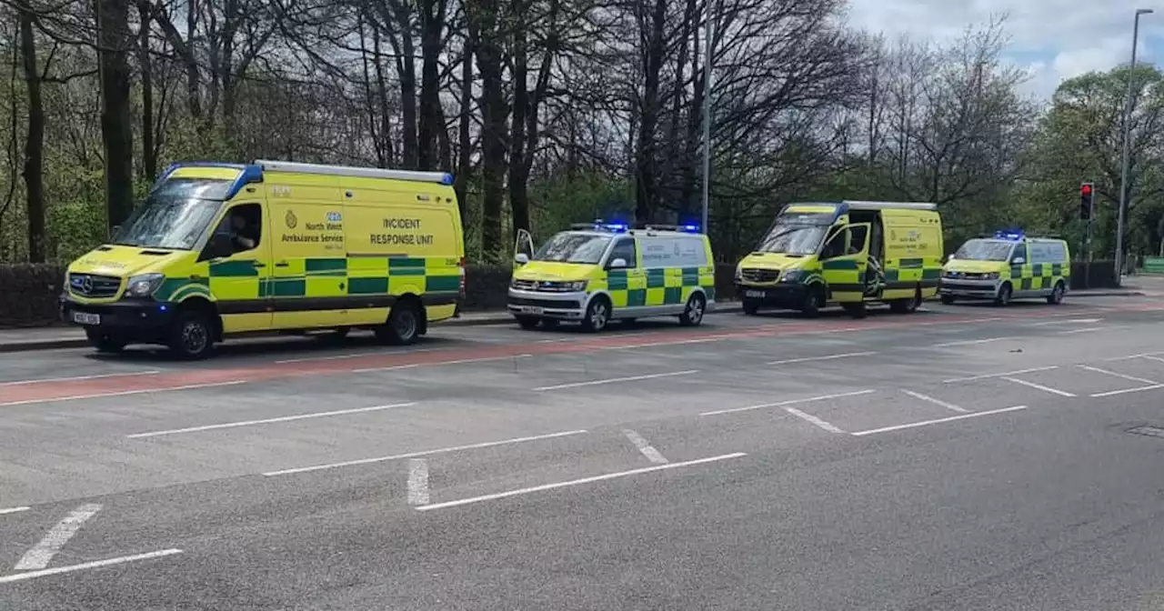 Chaos on quiet industrial estate as bomb squad swarms building