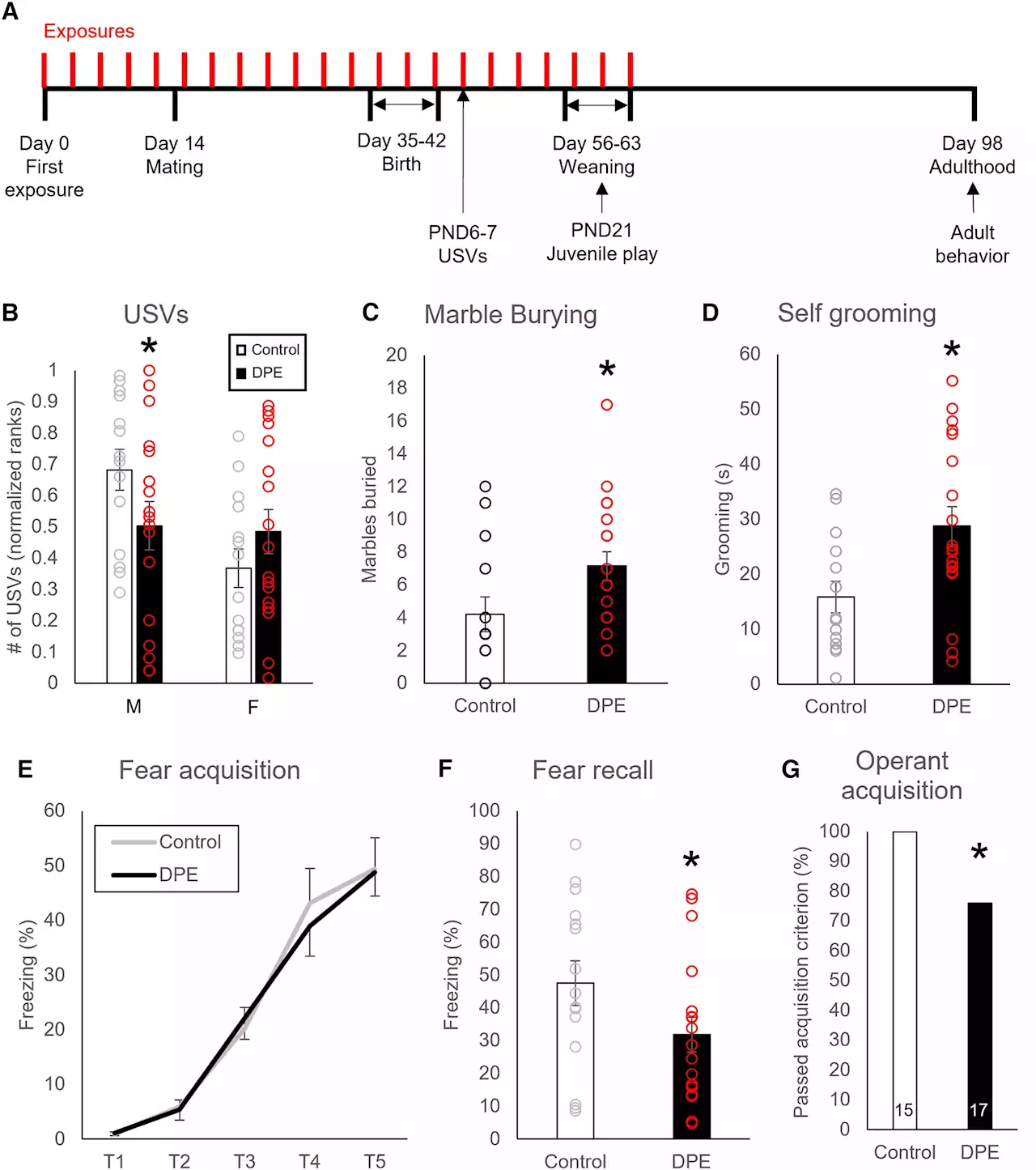 Research links common insecticide to neurodevelopmental disorders