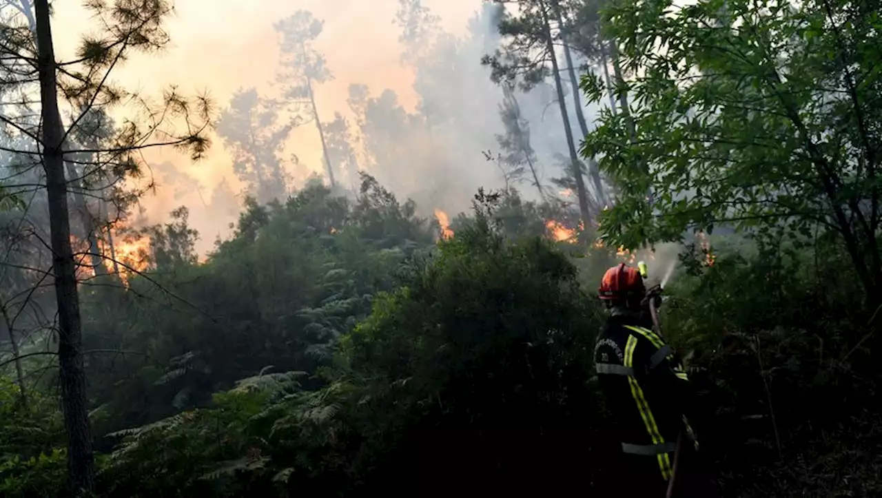 Lutte contre les incendies : une météo des forêts délivrera un bulletin quotidien de juin à octobre