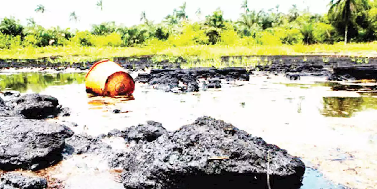 HPREP pledges transparency in Ogoni clean-up spending