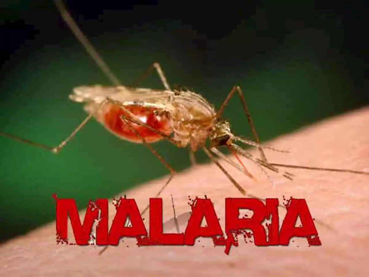 Rigorous efforts needed to eliminate malaria