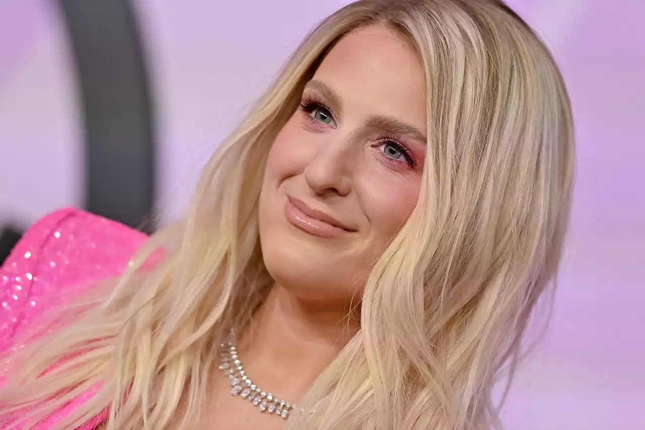 Pregnant Meghan Trainor Apologizes for Controversial Teachers Comment