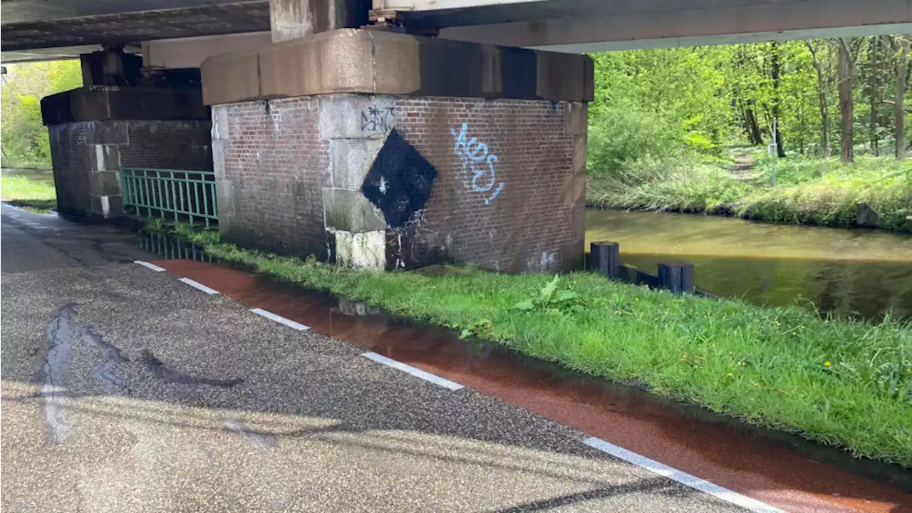 Hakenkruizen in Vogelenzang en Overveen weggepoetst: burgemeester Roest doet aangifte