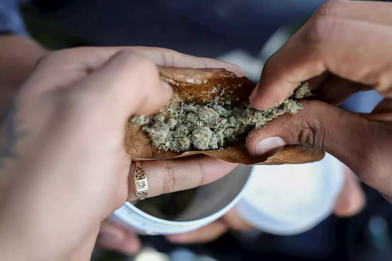 Americans spent more on legal cannabis in 2022 than chocolate, beer: report