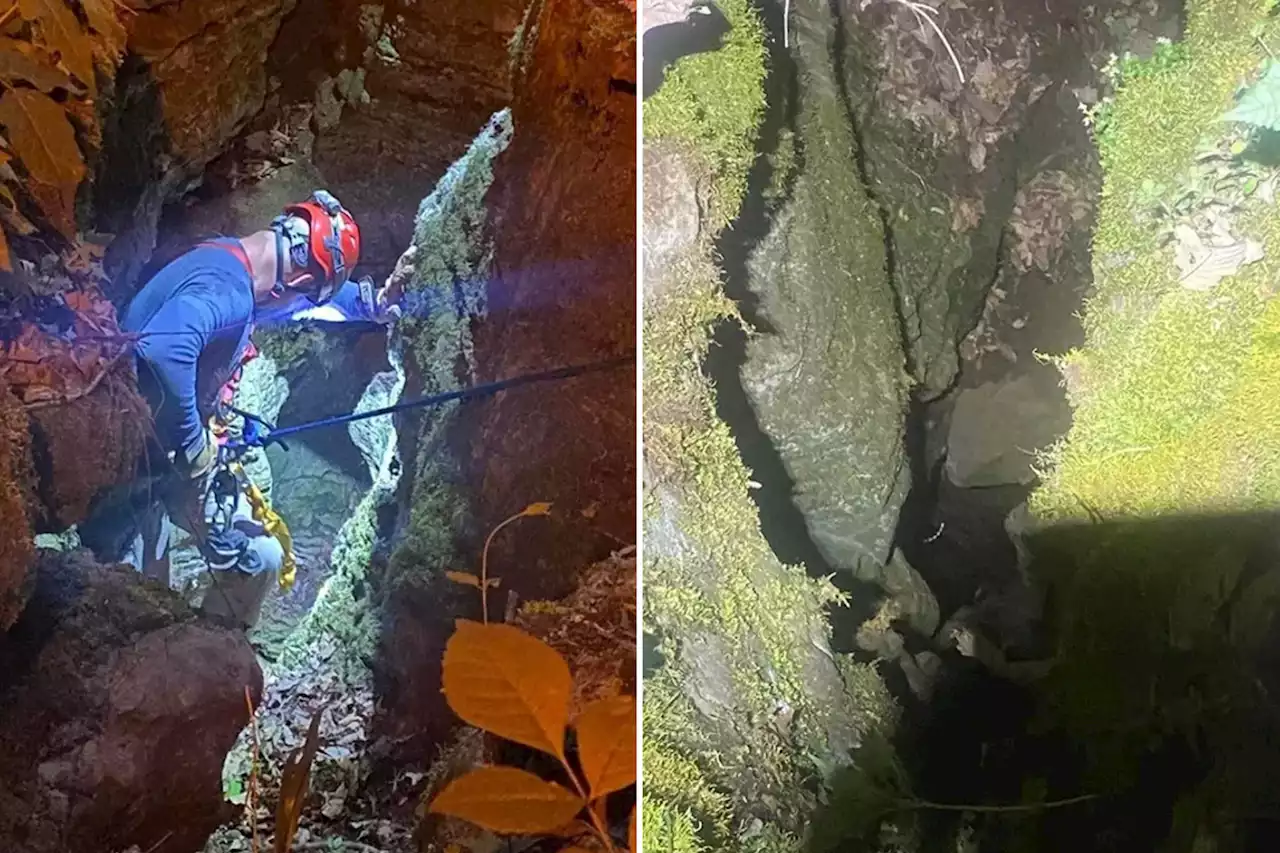 Tennessee dog rescued from cave after falling over 50 feet