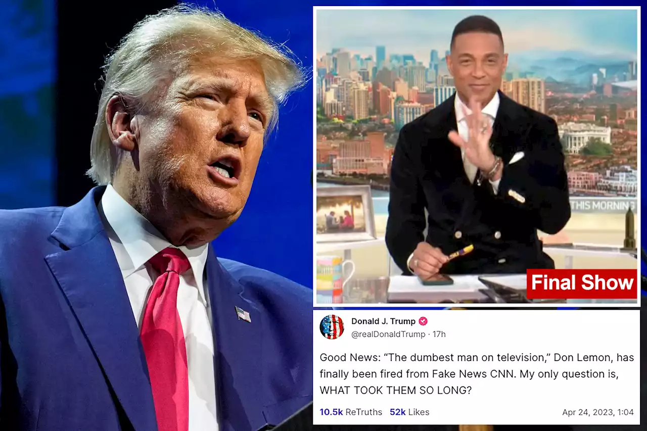 Trump cheers ouster of ‘dumbest man on television’ Don Lemon from CNN