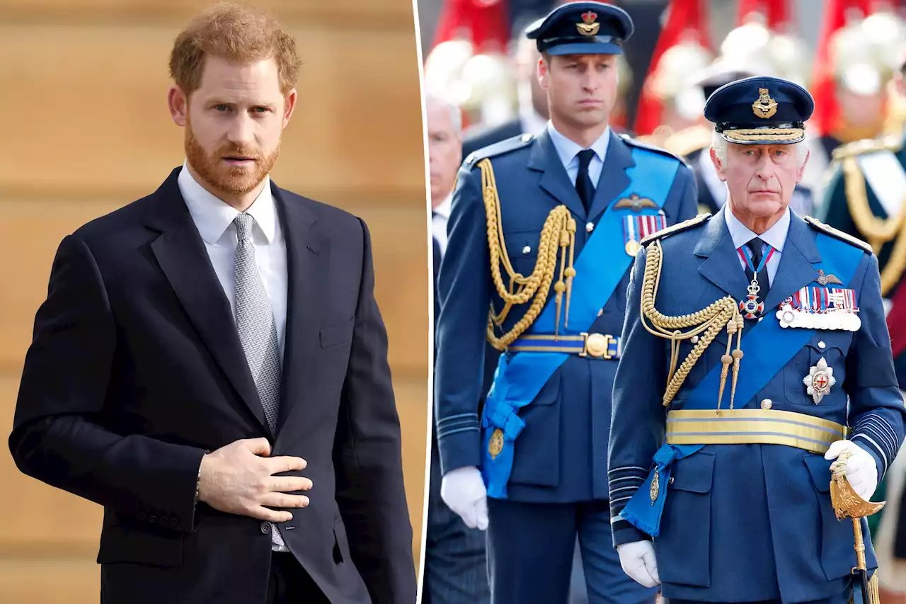 Prince Harry ‘will not see’ Charles, William during coronation: expert