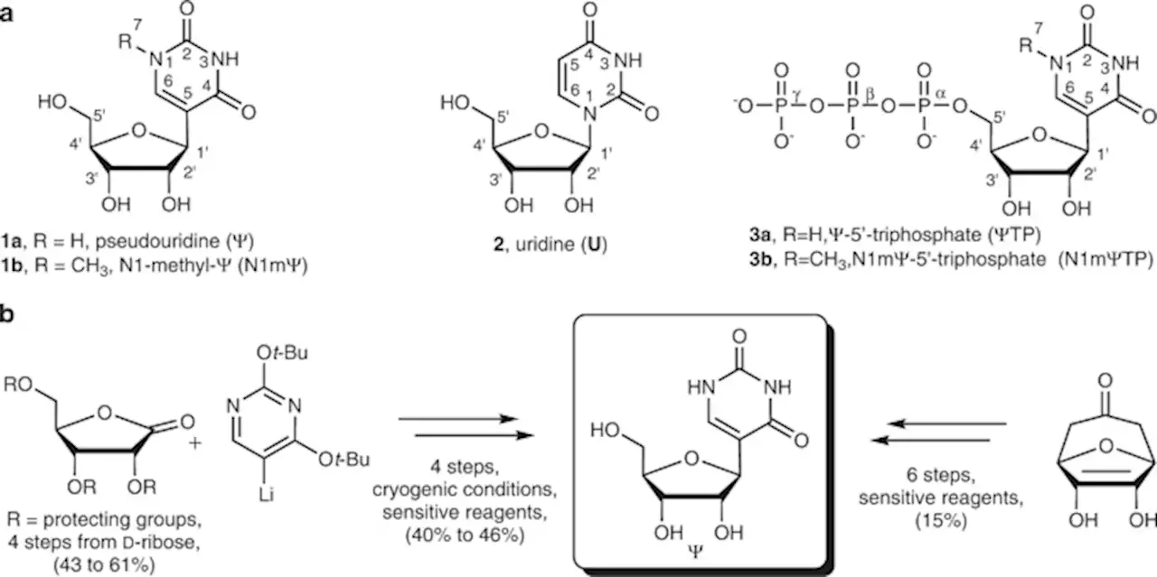 A selective and atom-economic rearrangement of uridine by cascade biocatalysis for production of pseudouridine - Nature Communications