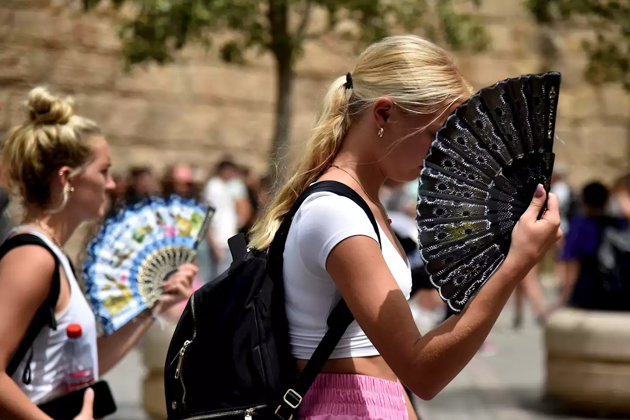 Météo : découvrez les premières prévisions pour cet été