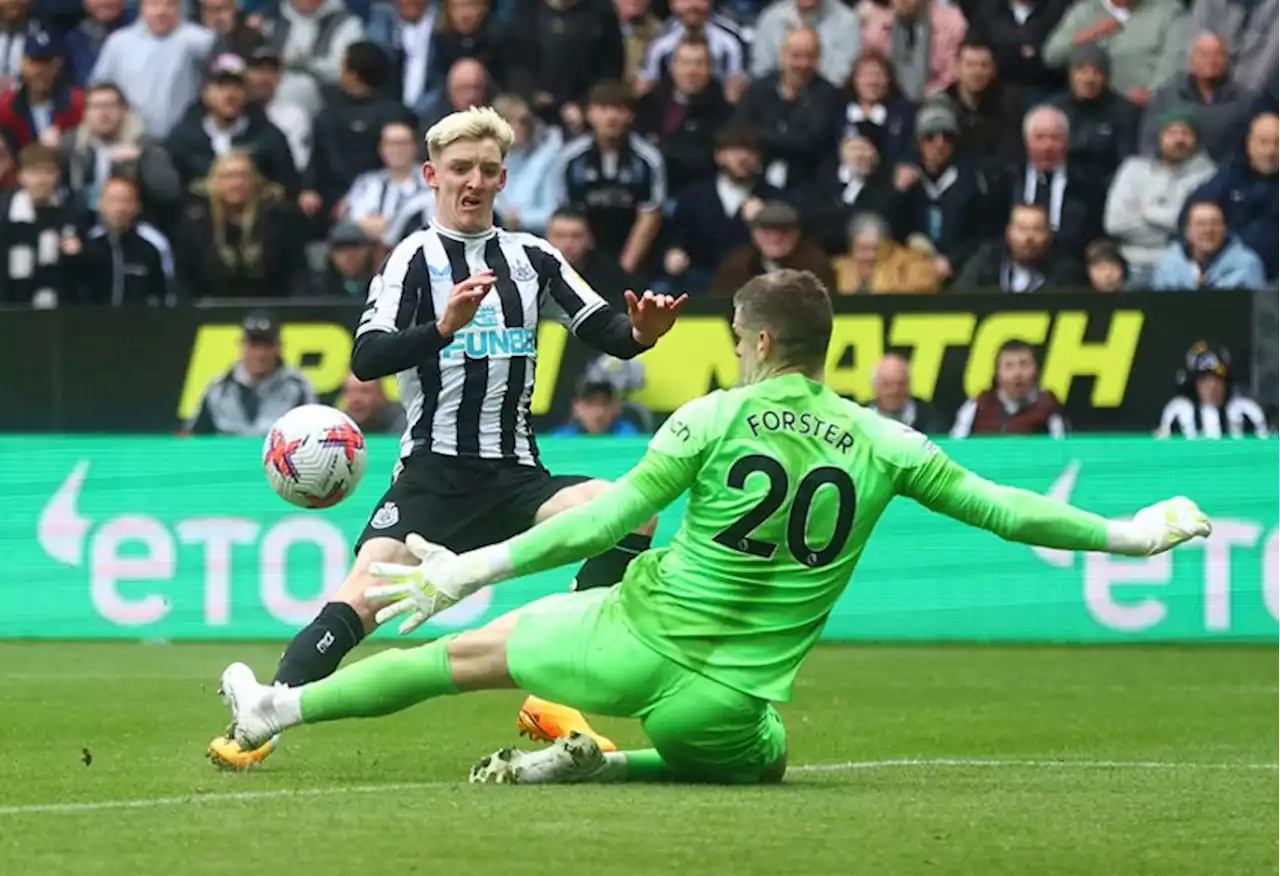 Newcastle United Bantai Tottenham Cetak Rekor Baru di Liga Inggris