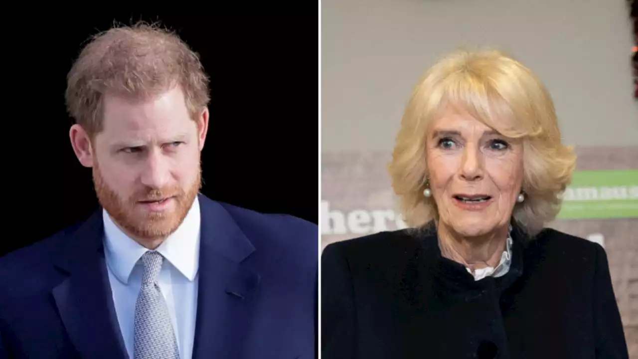 Camilla’s son speaks out after ‘vicious attack’ by Prince Harry