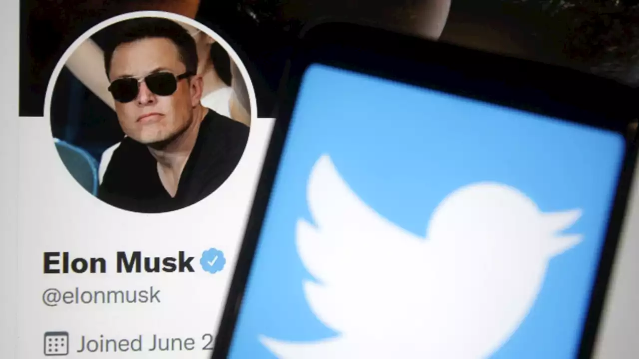 ‘There is a place’ for Elon Musk to reward Content Creators on Twitter