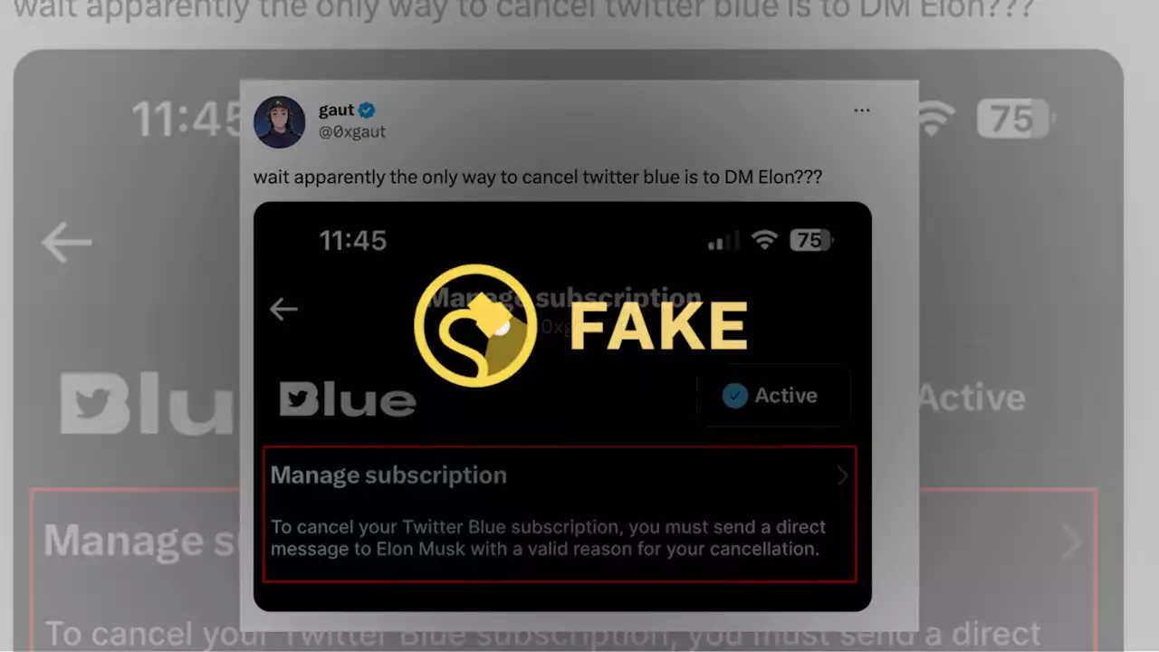 Do Twitter Blue Subscribers Have to DM Elon Musk to Cancel?