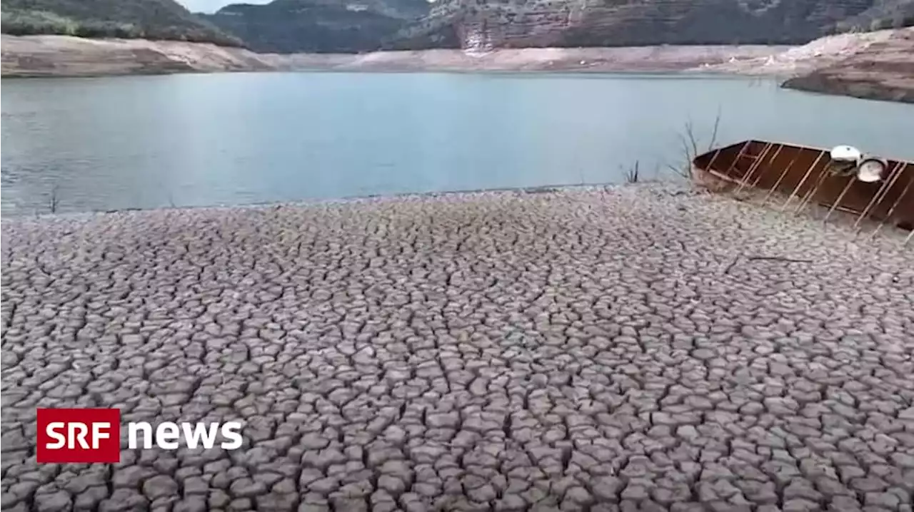 Trockenheit in Spanien - Spanien steuert auf einen Dürre-Sommer zu