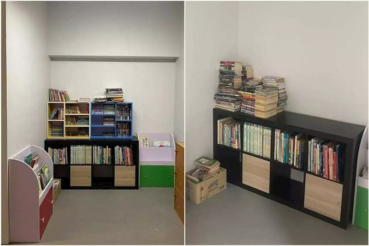 After resident spent months setting up open library, shelves stolen in less than a day