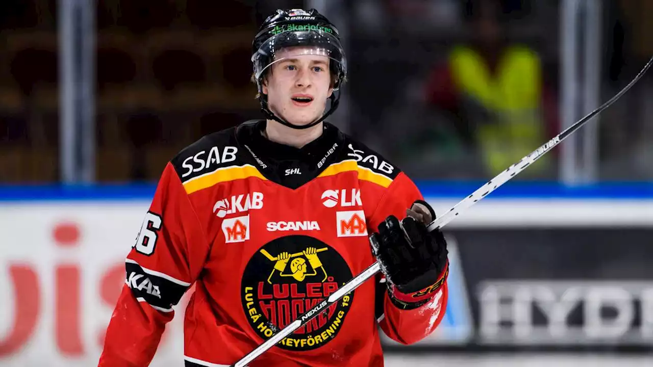 Ishockey: Pontus Andreasson återvänder till Luleå