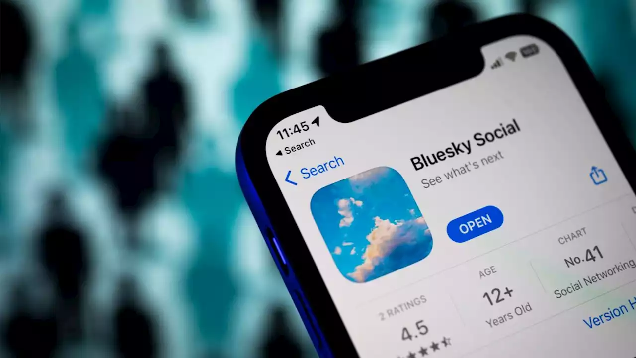 Bluesky is like Twitter without Elon Musk – and that's good enough for me